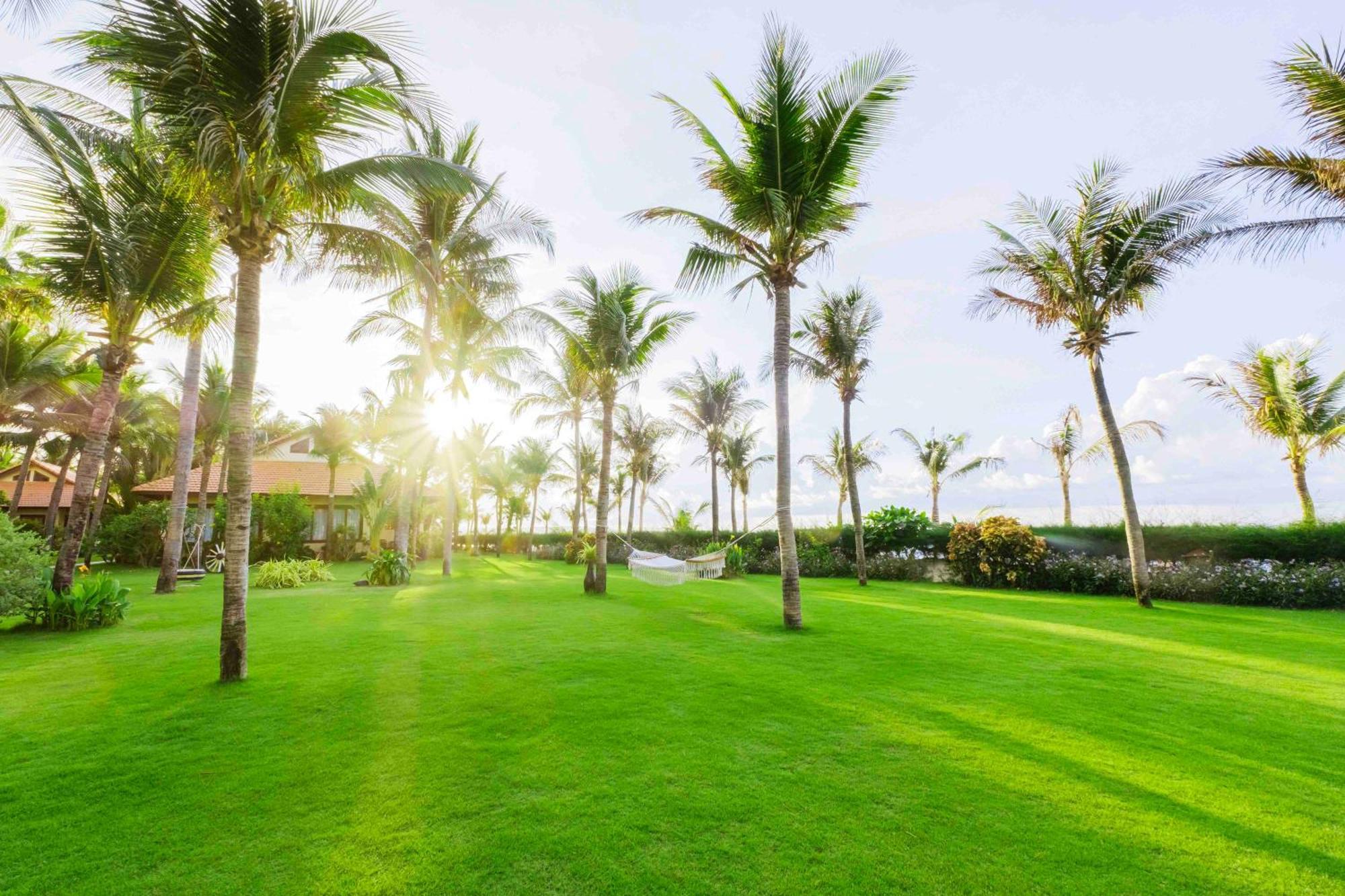 Sunny Beach Resort & Spa Phan Thiết Exteriér fotografie